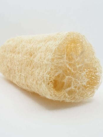 Esponja natural de luffa grande