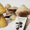 Difusores Aceites Esenciales