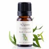 Aceite esencial de eucalipto