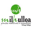 Logo de Milhulloa
