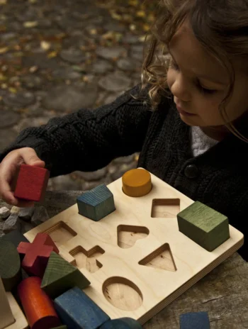 Puzzle geométrico
