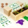 Mini huerto de aromaticas
