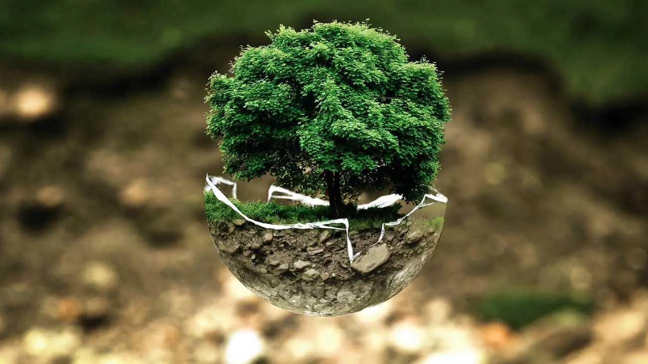Diferencias entre economía circular y lineal