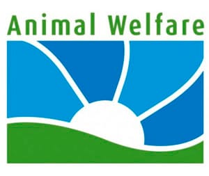 Animal Welfare