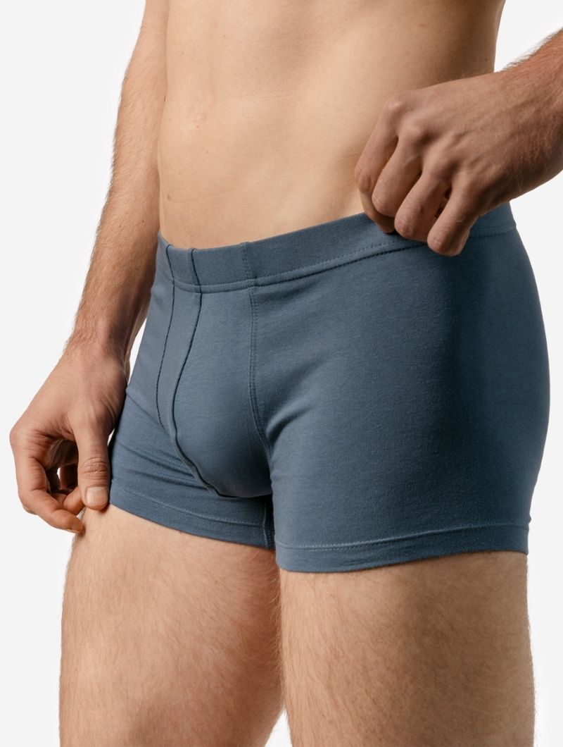 Pack de 3 calzoncillos bóxer lisos de algodón orgánico - Imagen 2