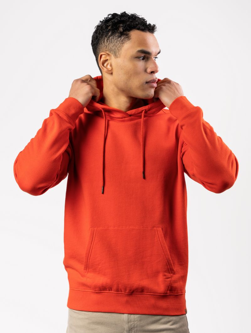 Sudadera con capucha 100% algodón orgánico para hombre - Imagen 2