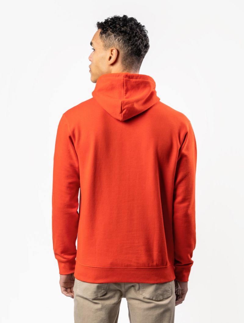 Sudadera con capucha 100% algodón orgánico para hombre - Imagen 14