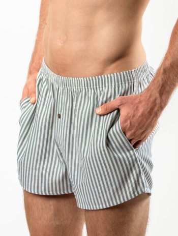 Alternative view of Bóxer short a rayas de 100% algodón orgánico