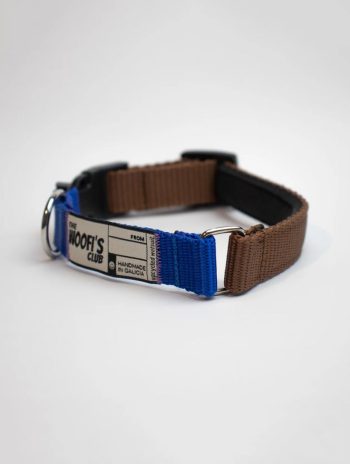 Collar de neopreno para perro