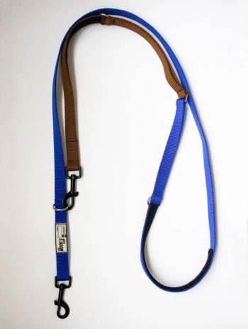 Correa multiposición para perro