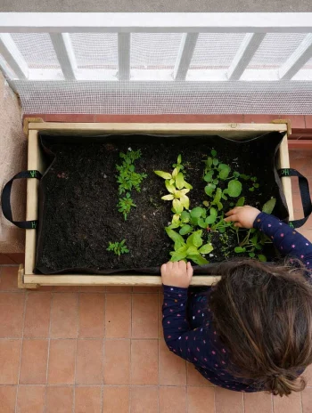 Alternative view of Mesa de cultivo infantil con Kit