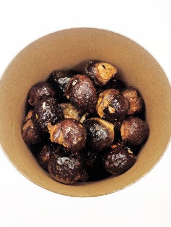 Sapindus Mukorossi