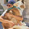 Collar acolchado para perro con ondas Copacabana - Imagen 4
