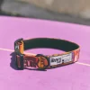 Collar ajustable para perro con estampado retro Yinsun - Imagen 6