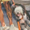 Collar de cuadros para perro Checker - Imagen 6