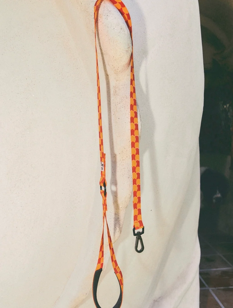 Correa de cuadros para perro Checker