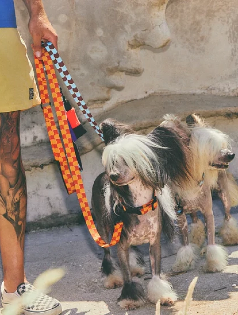 Correa de cuadros para perro Checker - Imagen 2