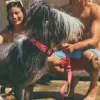 Correa para perro con asa acolchada Copacabana - Imagen 10