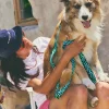 Correa para perro con asa acolchada Copacabana - Imagen 2