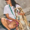 Correa para perro con asa acolchada Copacabana - Imagen 6