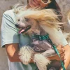 Correa para perro con asa acolchada Copacabana - Imagen 8